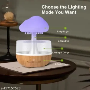 Cloud Rain Humidifier 04