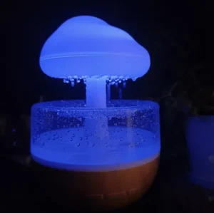Cloud Rain Humidifier 01